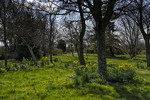 Birkheads Secret Gardens