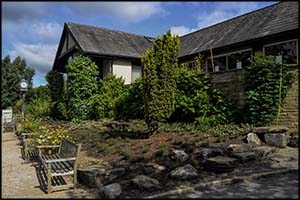 Harlow Carr Garden