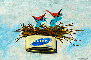 Street Art Collection 01